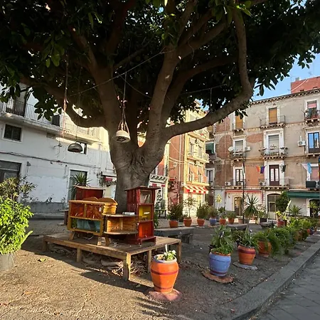 Carmen House * Catania