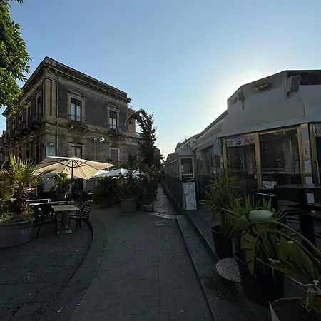 Carmen House *